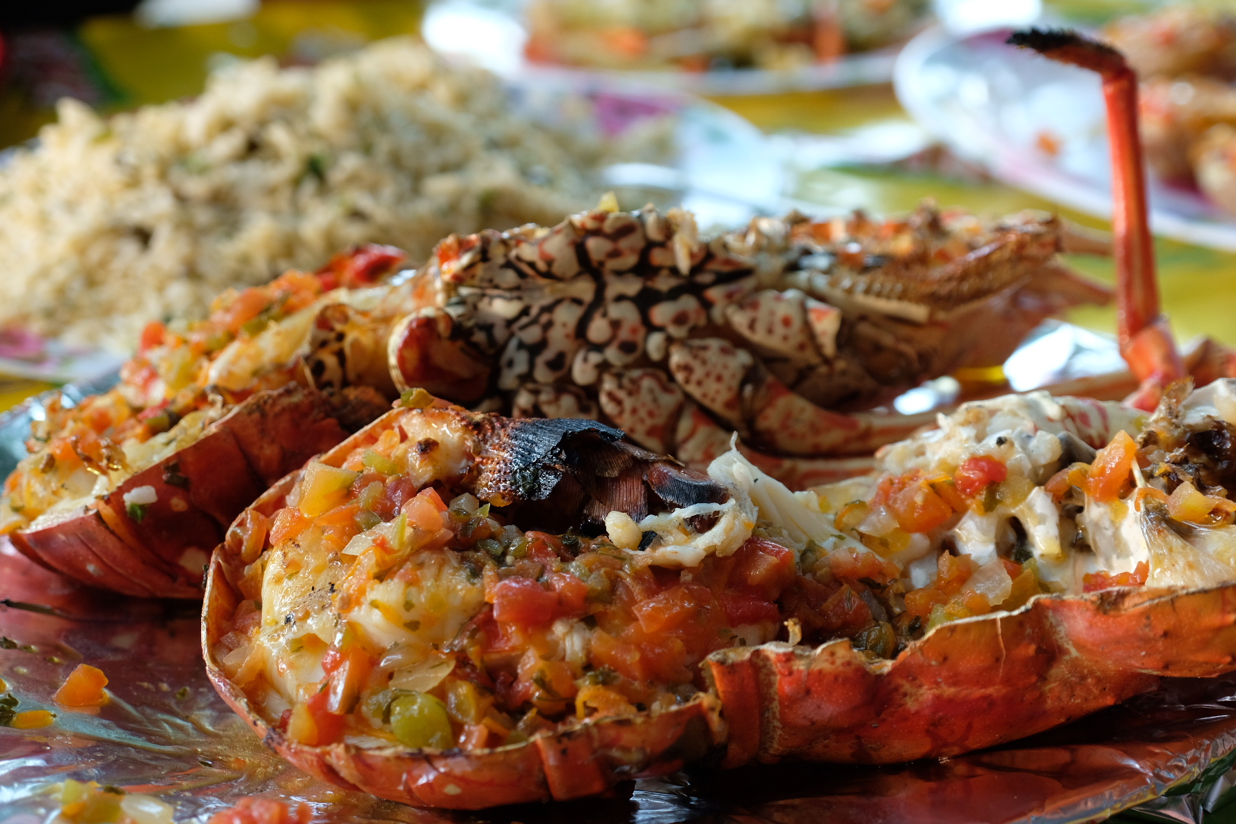 Lobster in Tobago Cays
