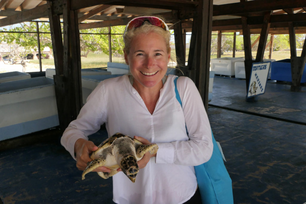 Visiting turtle sanctuary in Los Roques