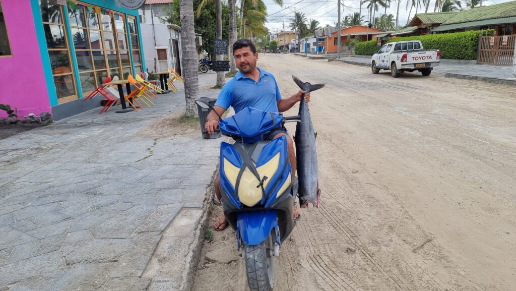 Super fresh fish delivery to the local restaurant in Puerto Villamil
