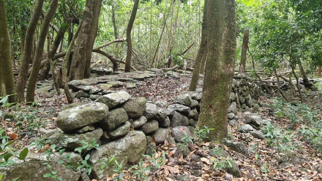 ... on a stone road build several hundred years ago by the original Marquesans. Along the road you find dozens of ruins from their settlements