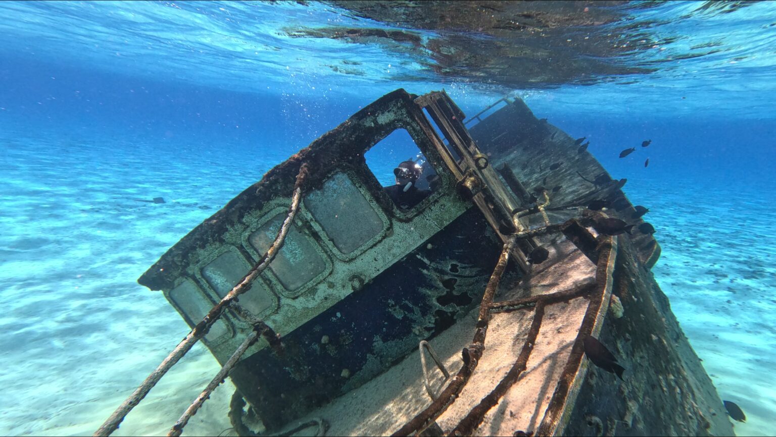 Diving the most visited wreck in Beveridge Reef...