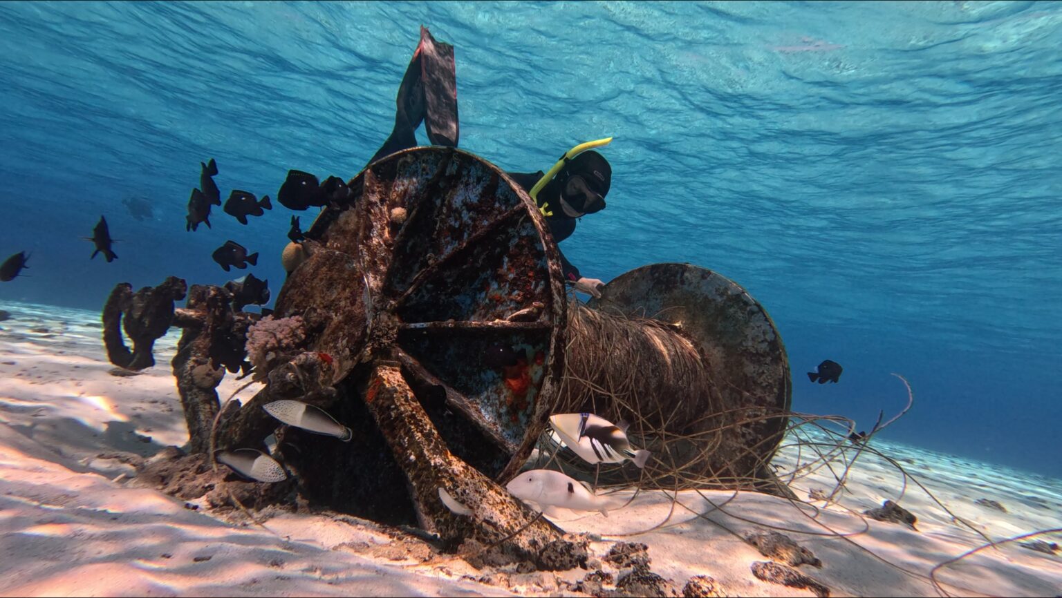 The fishing tackle of the Nicky Lou is now the home of a curious humuhumunukunukuapa'a is it is called in Hawaii aka Picasso triggerfish