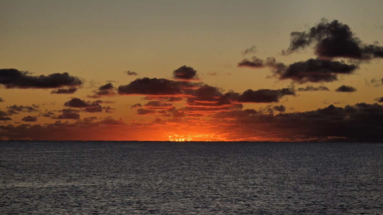 This is not a sunset. This is a picture drawn by me to illustrate how your body feels with ciguatera...