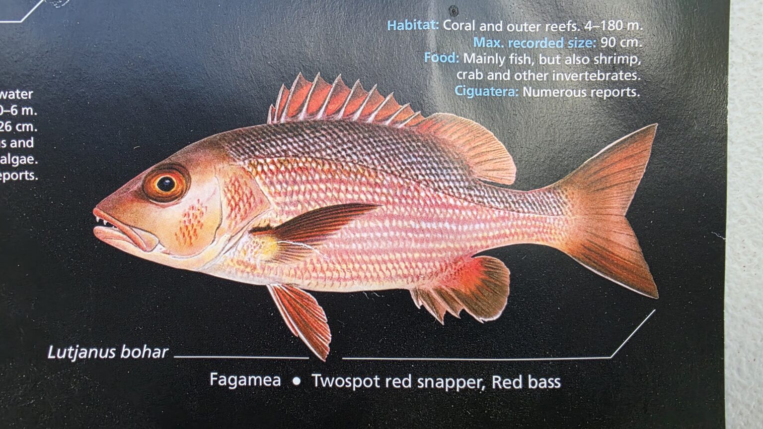 If only our visiting fisherman had done his due diligence
