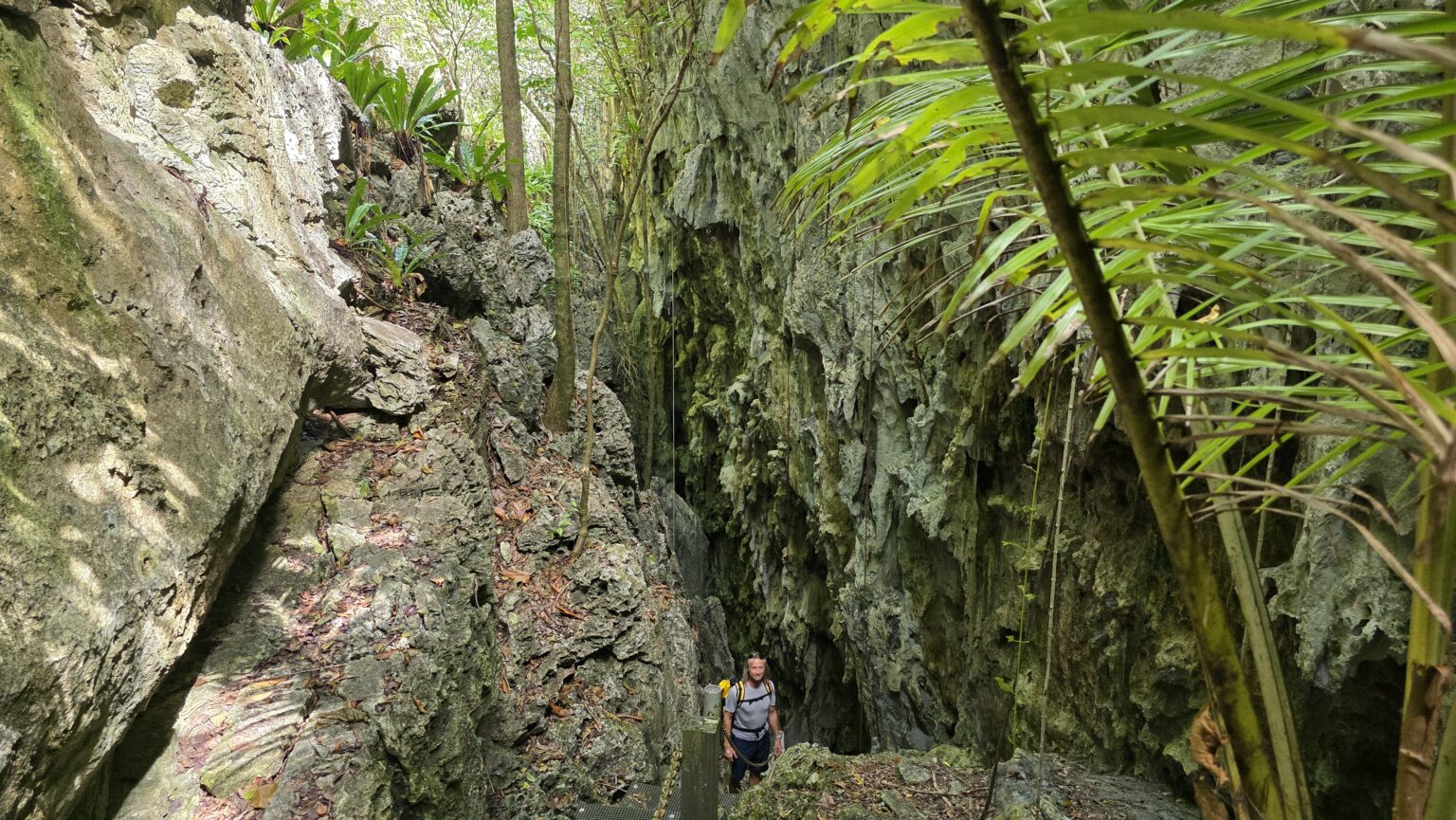 Entering the Anapala Chasm