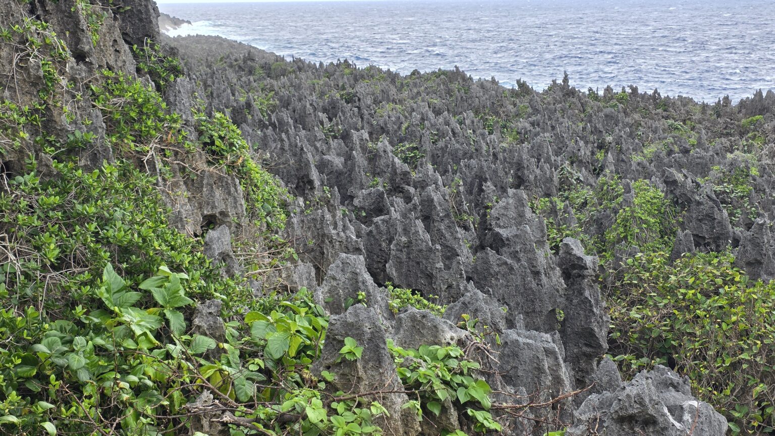 The rain, sun and wind takes a toll on the limestone