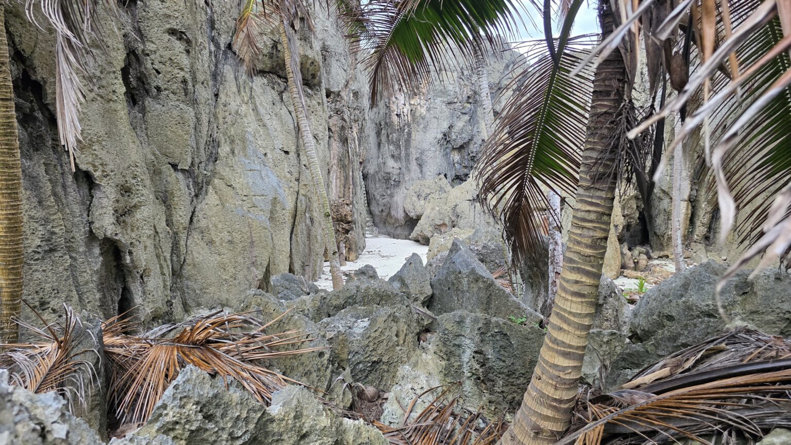 Exploring the Togo Chasm