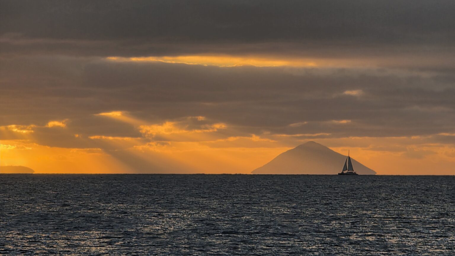 Sunsets, dolphins and whales. We can not stop watching them