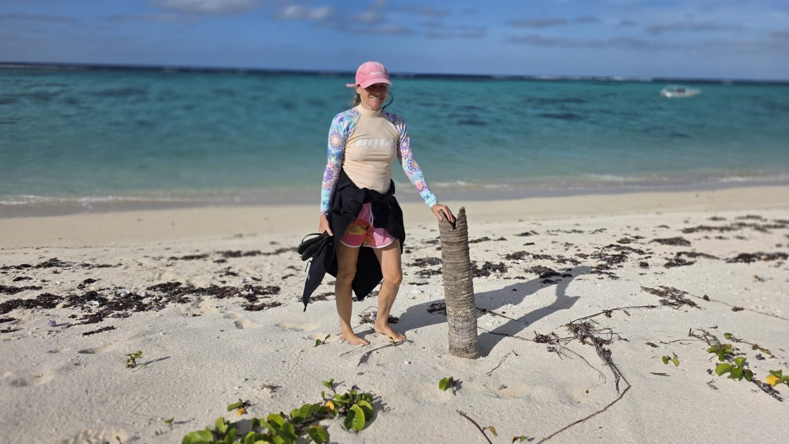 Some leftovers from coconut trees