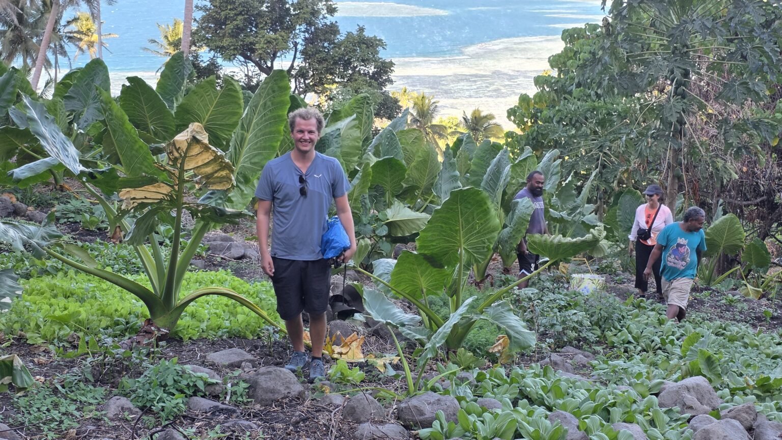 ... which is basically a small but well cultivated area, where soil and climate is ideal...