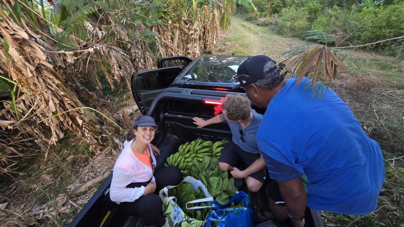 ... we come back with enough fresh veggies and fruit for the next 2-3 weeks :-)
