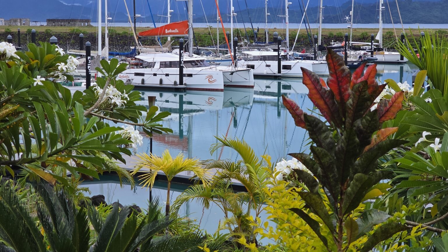 Back in Nawi Marina in Savusavu to wait for Nora to come on board and saying goodbye to Phil and Michelle