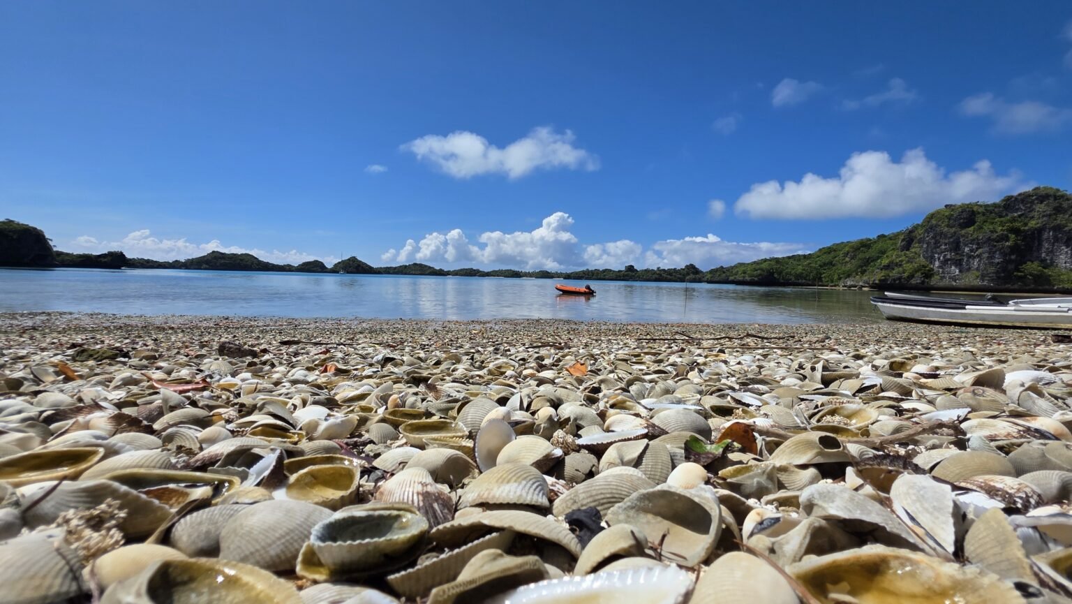 Arrived in Faluga. It seems they have lots of seashells